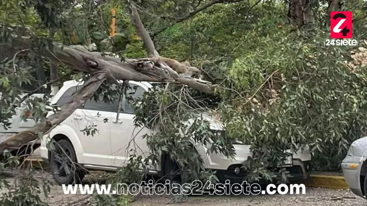 Frente frío 11 deja daños y apagones en el sur de Tamaulipas