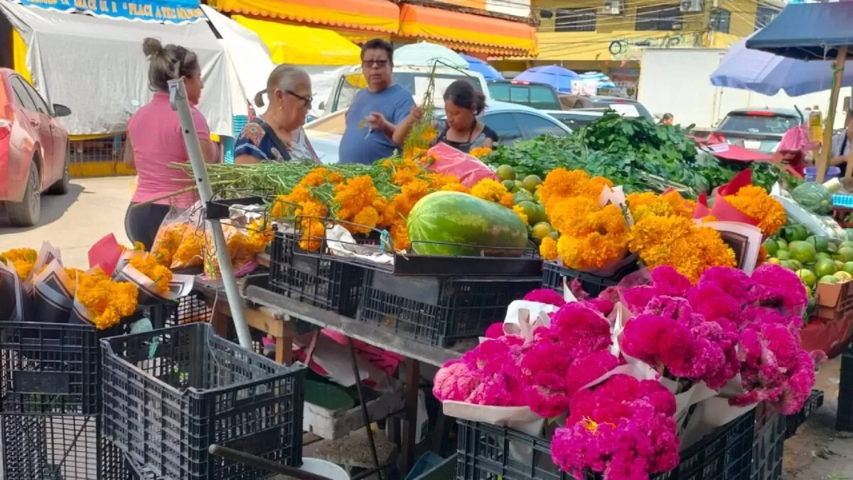 Escasez de mandarina y naranja encarece altares de muertos en Madero