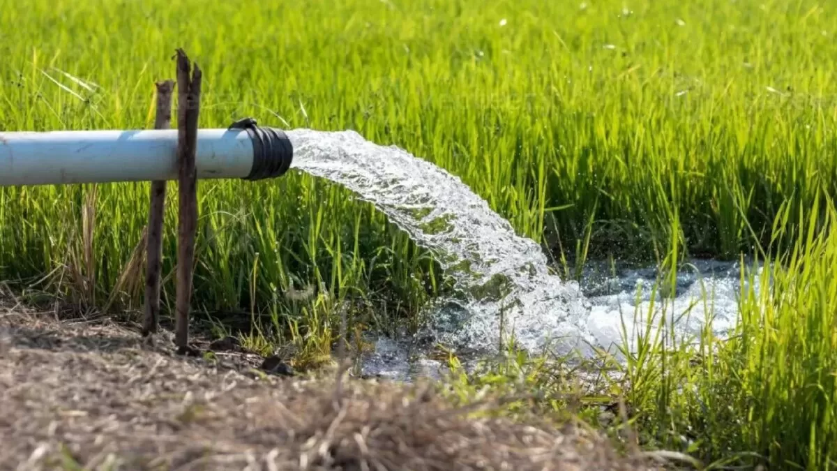 Productores podrán recuperar sus títulos de agua: CONAGUA