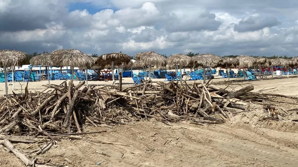 Río Pánuco sigue arrojando palizada y basura a playa Miramar