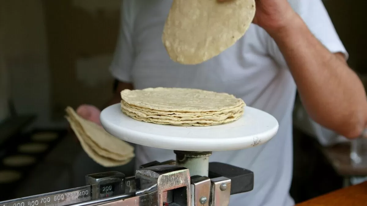 Tampico, entre las ciudades con kilo de tortilla más caro en México