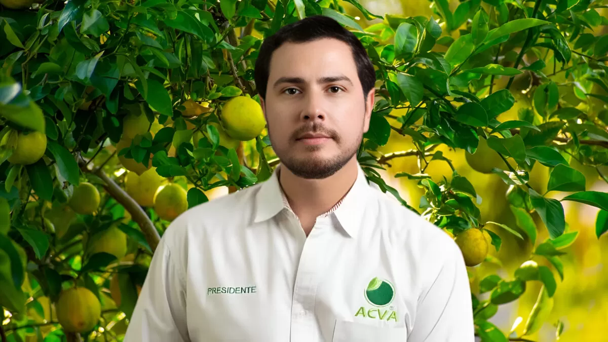 Asesinan a Bernardo Bravo, líder de productores de limón en Michoacán