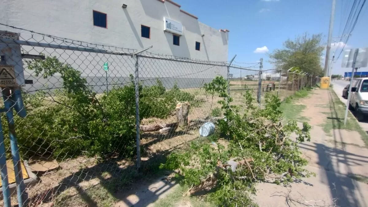 Gobierno de Nuevo Laredo intensifica programas ecológicos para cuidar el entorno
