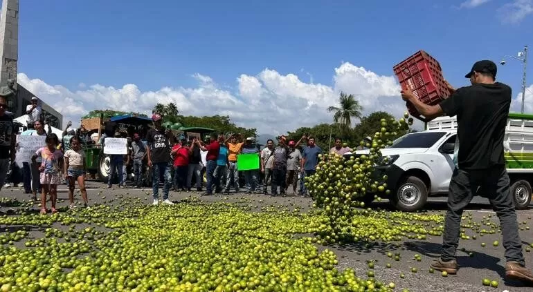 Productores tiran kilos de limón en protesta por bajos precios