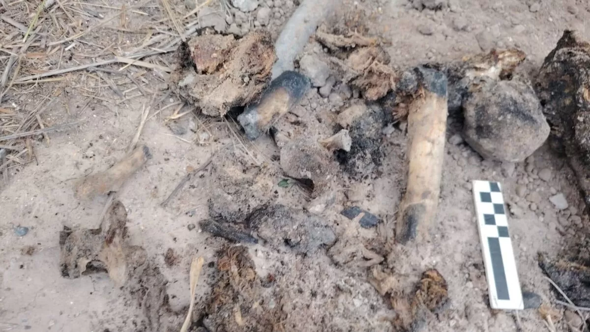 Localizan restos humanos en predio de Matamoros