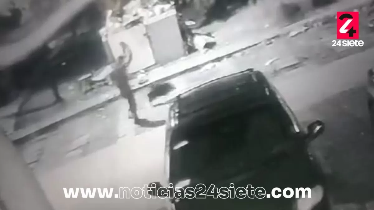 Vecinos denuncian a veladores por matar a un pecarí en Altamira