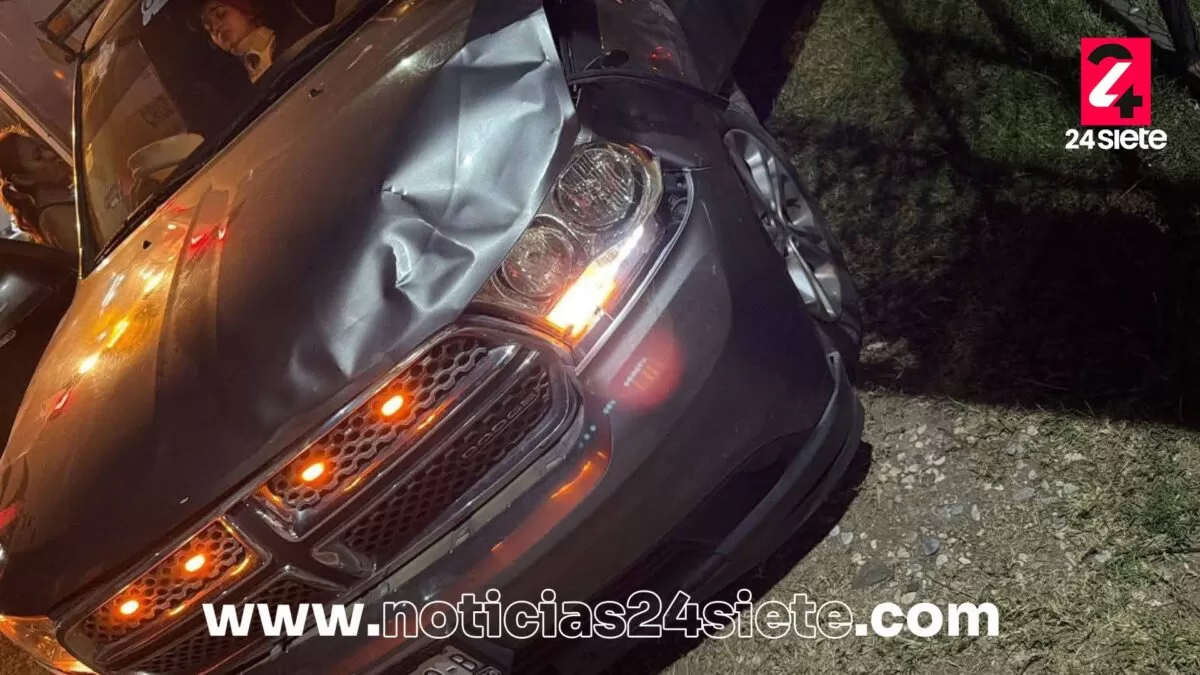 Cruz Ámbar demandará a dueños de ganado suelto por accidente en Altamira