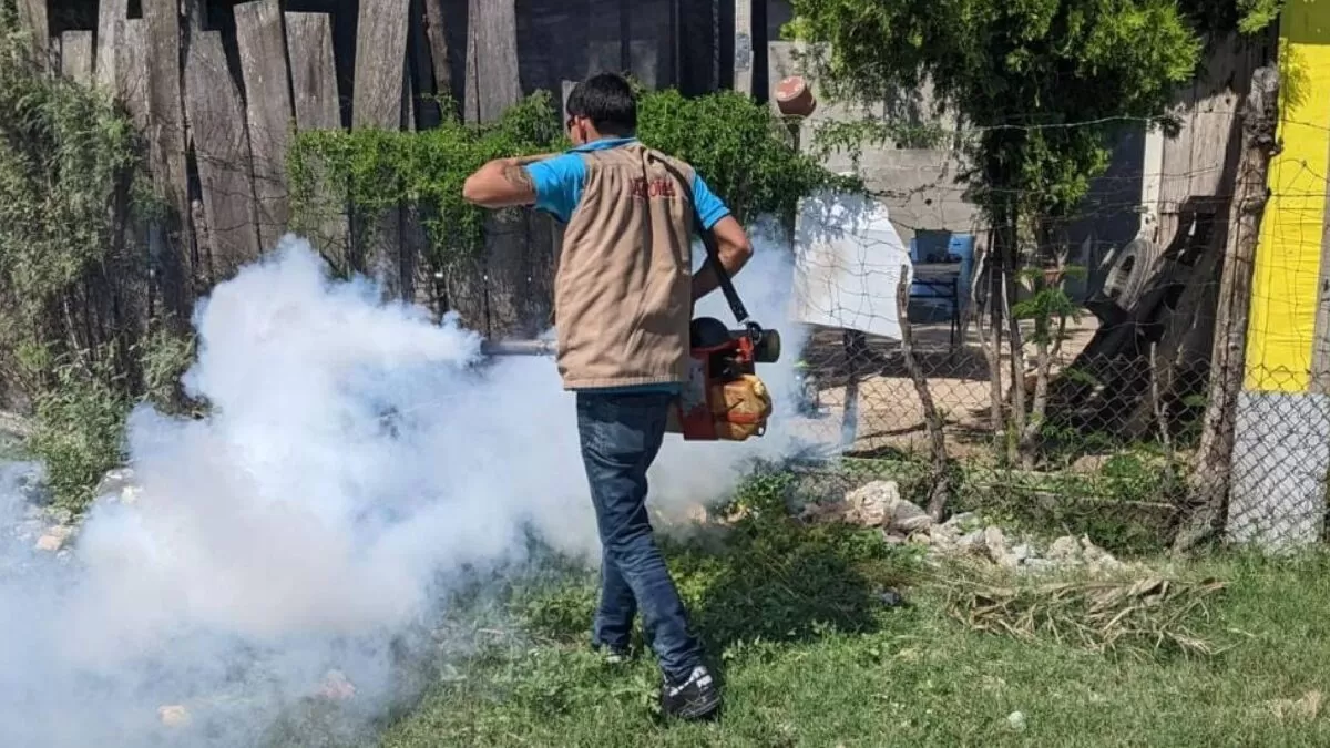 Aumentan casos de dengue al sur de Tamaulipas