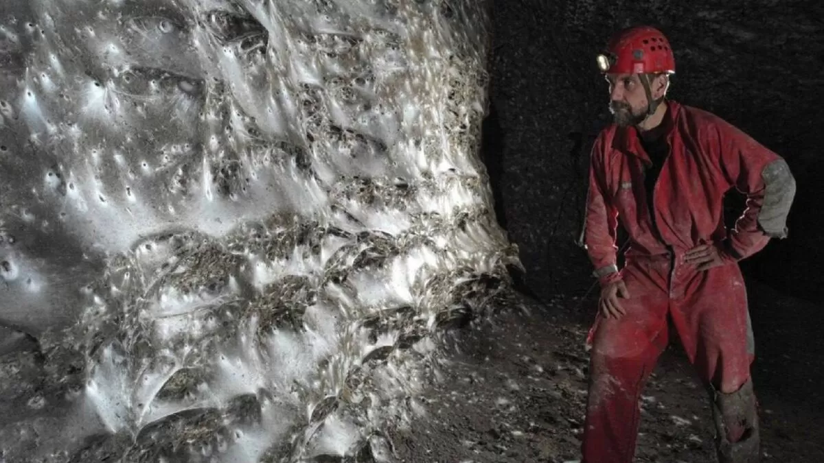 Descubren telaraña gigante con más de 100 mil arañas en Europa