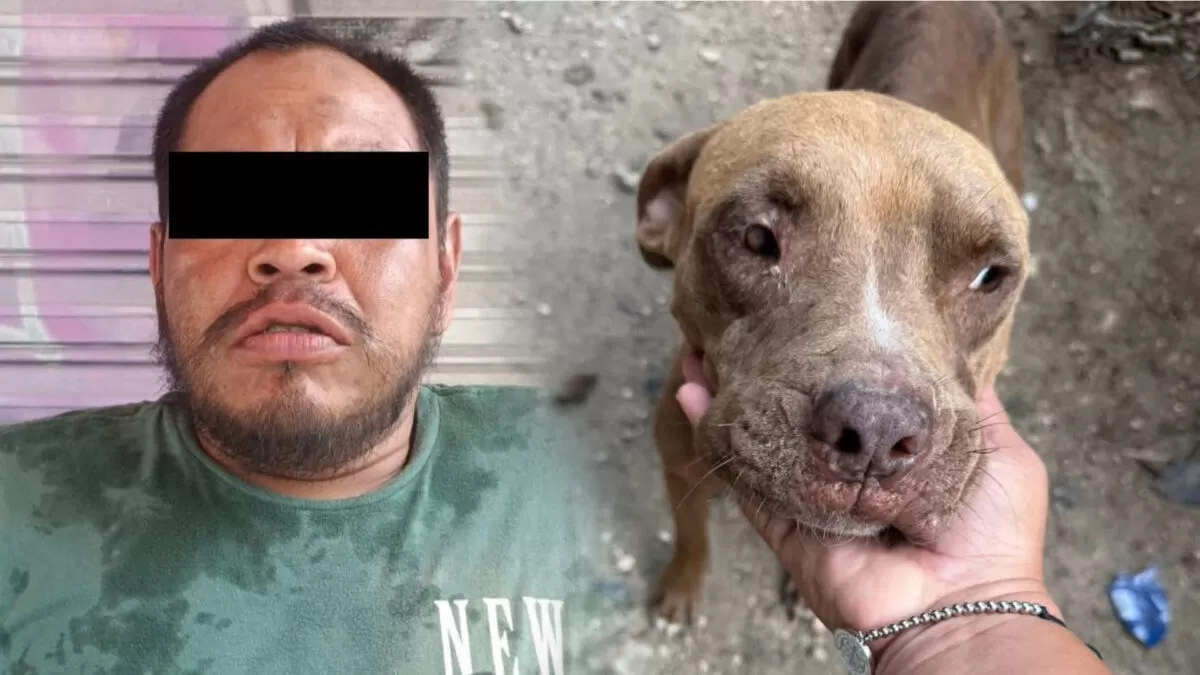 Detienen a hombre por abusar sexualmente de una perrita