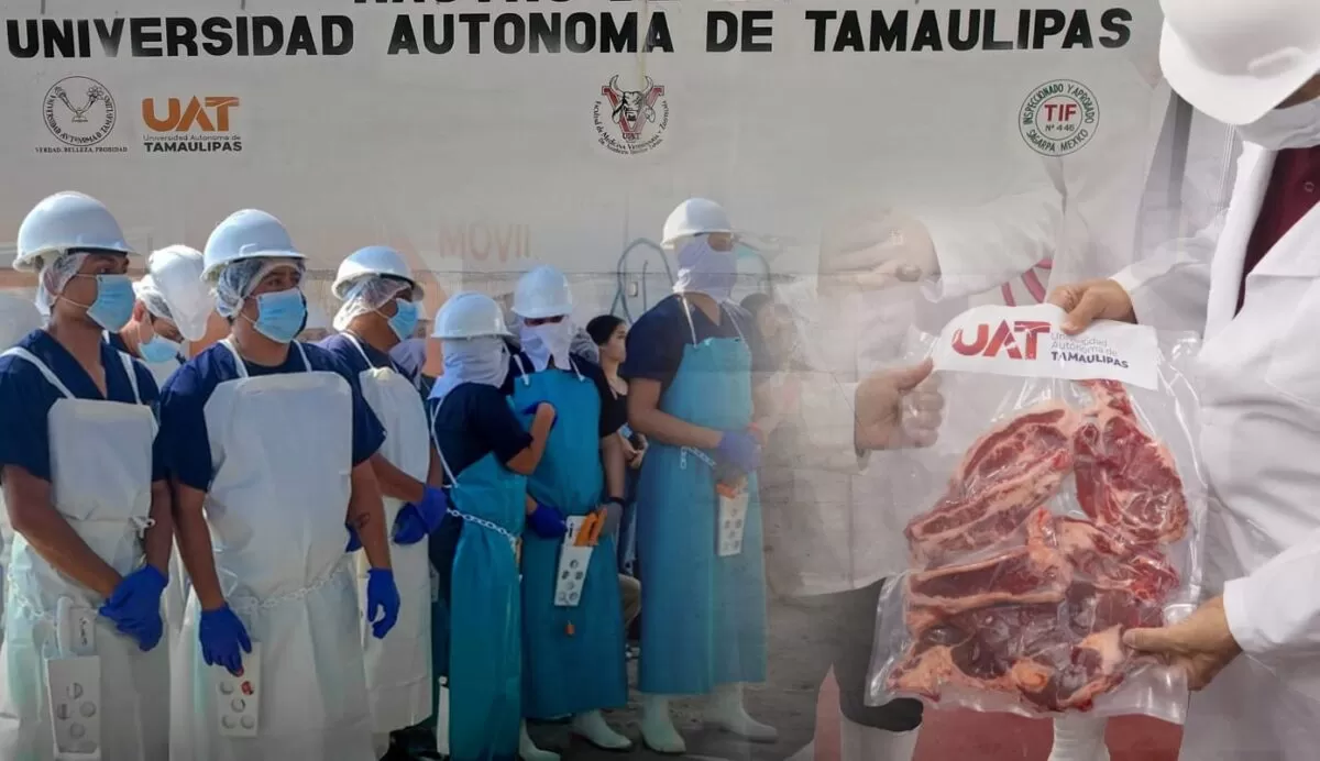 Rastro TIF de la UAT producirá carne para el mercado internacional