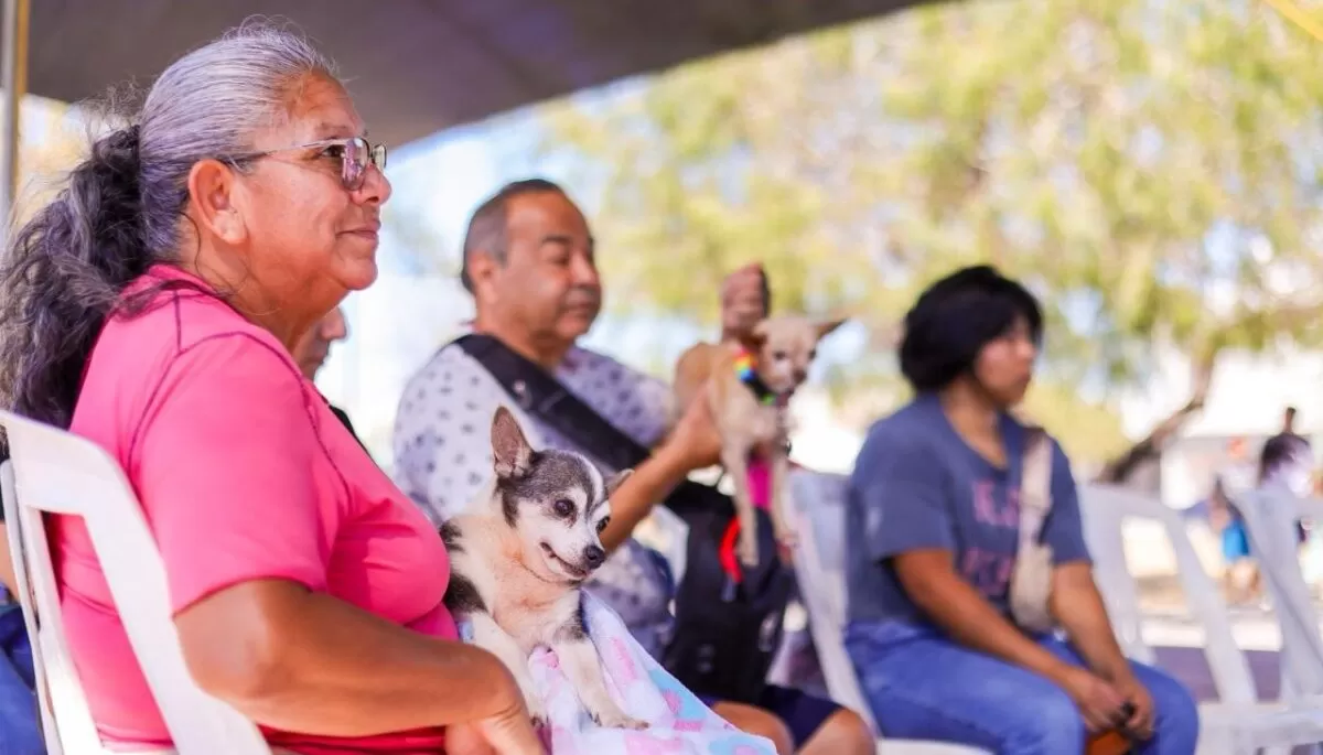 Mascotas sanas en Reynosa con programa veterinario del Alcalde Carlos Peña