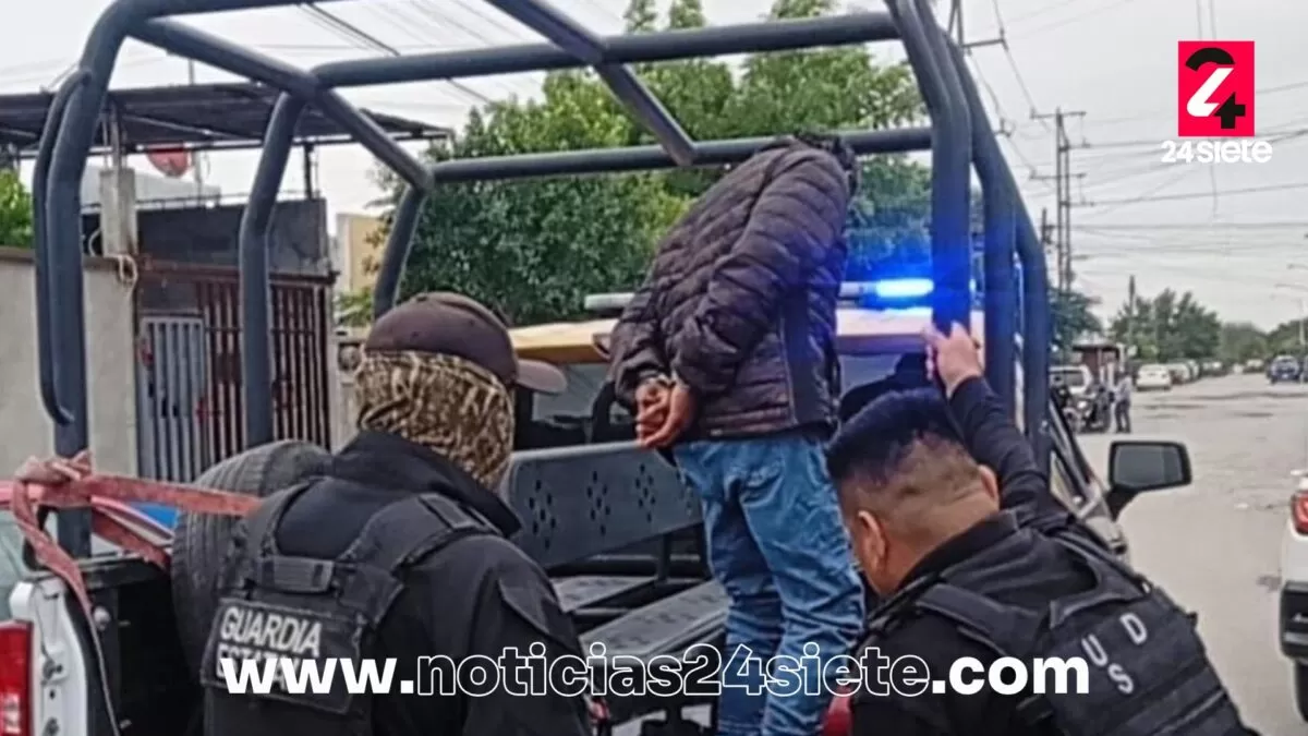Detienen a hombre acusado de sacrificar a tres gatos en Reynosa