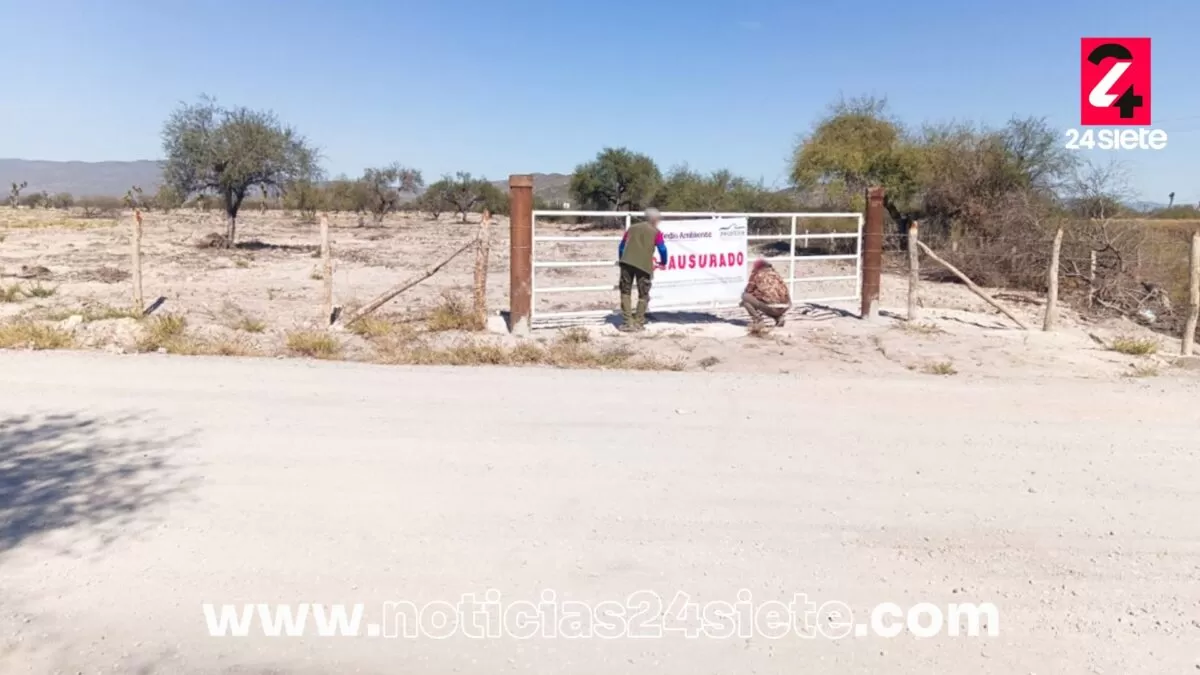 Profepa clausura 143 hectáreas por desmonte ilegal en Tamaulipas