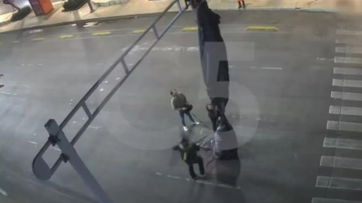 Paracaidista queda atorado en un semáforo de la CDMX
