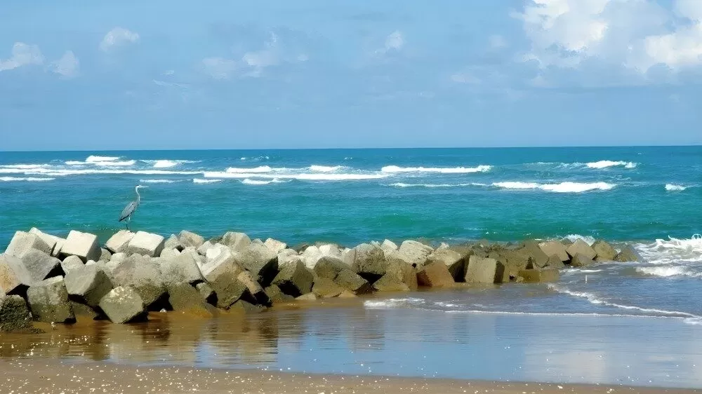 Cofepris alerta por playas no aptas para vacacionar en México