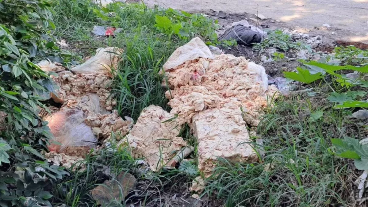 Denuncian tiradero clandestino de restos de pollo en colonia de Altamira
