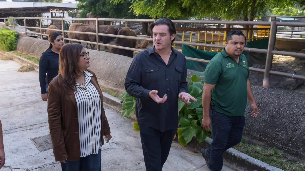 Autoridades supervisan condiciones del Zoológico Tamatán