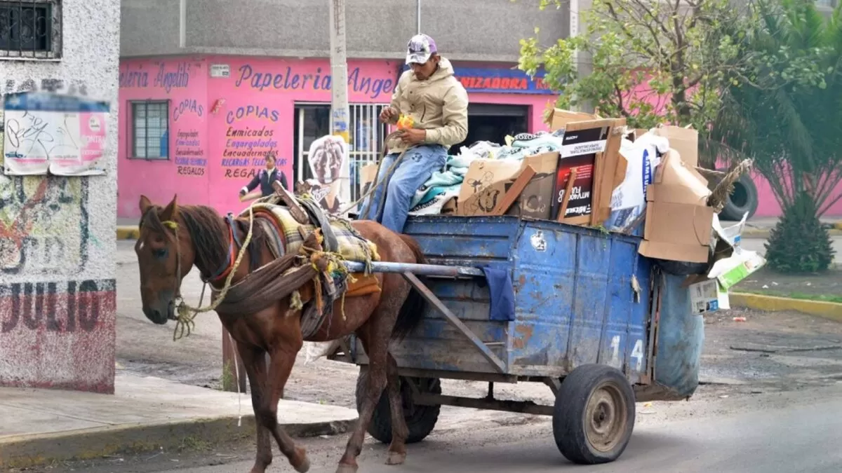 Aún no hay fecha para la transición de carretoneros a motos en Madero