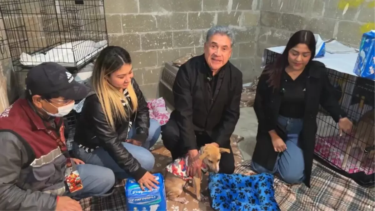 Refuerza Gobierno de Altamira acciones de protección a animales en situación de calle