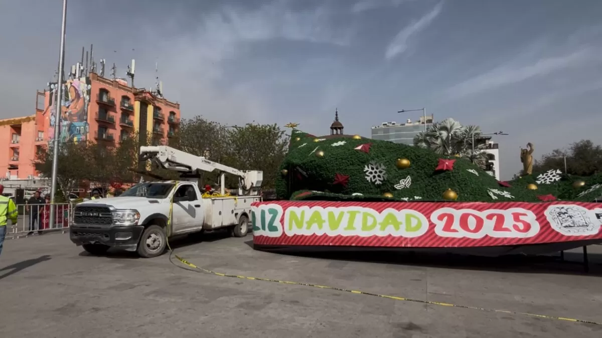 Vientos provocan caída de pino navideño gigante en Reynosa