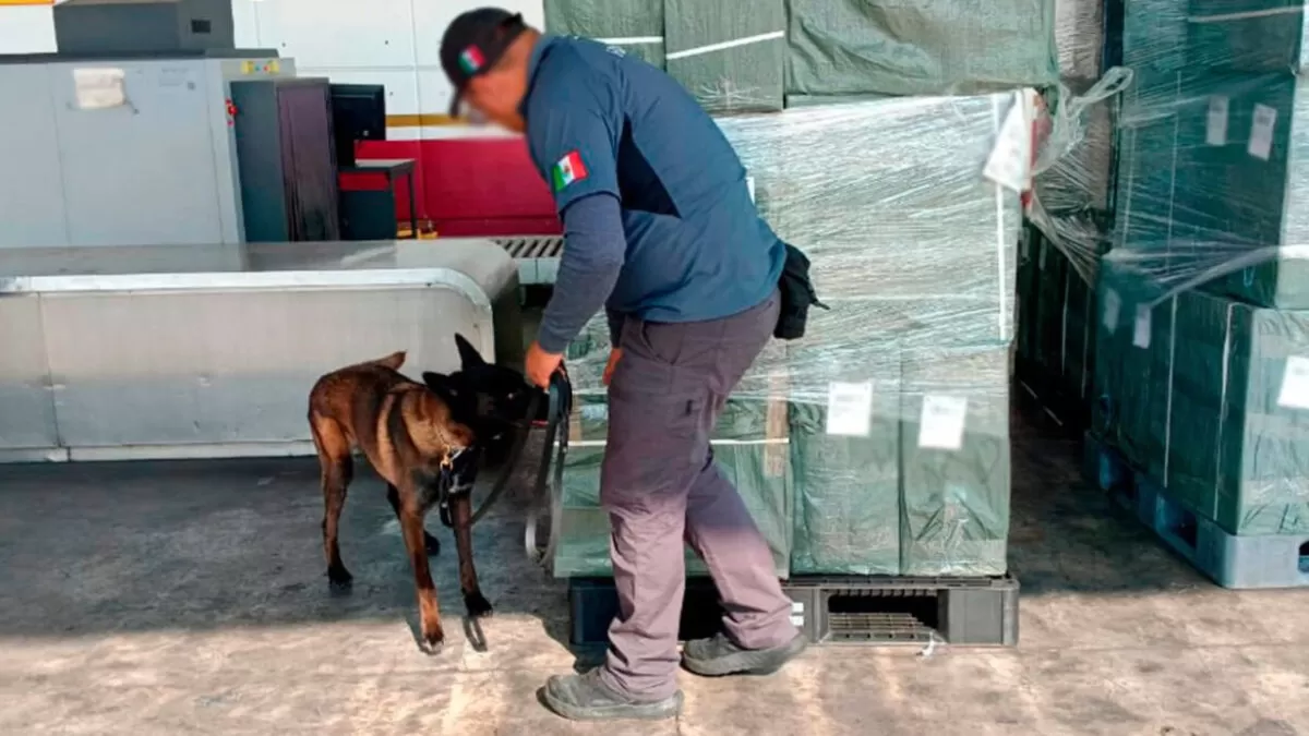 Decomisan en el AICM casi 20 toneladas de tabaco ilegal