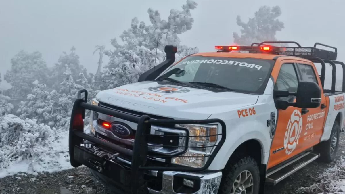 Cae nieve en la cumbre del Cerro El Potosí en Galeana