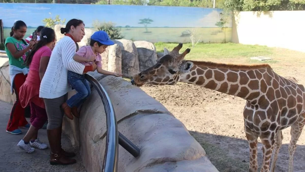 Reitera Zoológico Tamatán compromiso con el cuidado y protección de la fauna bajo su responsabilidad