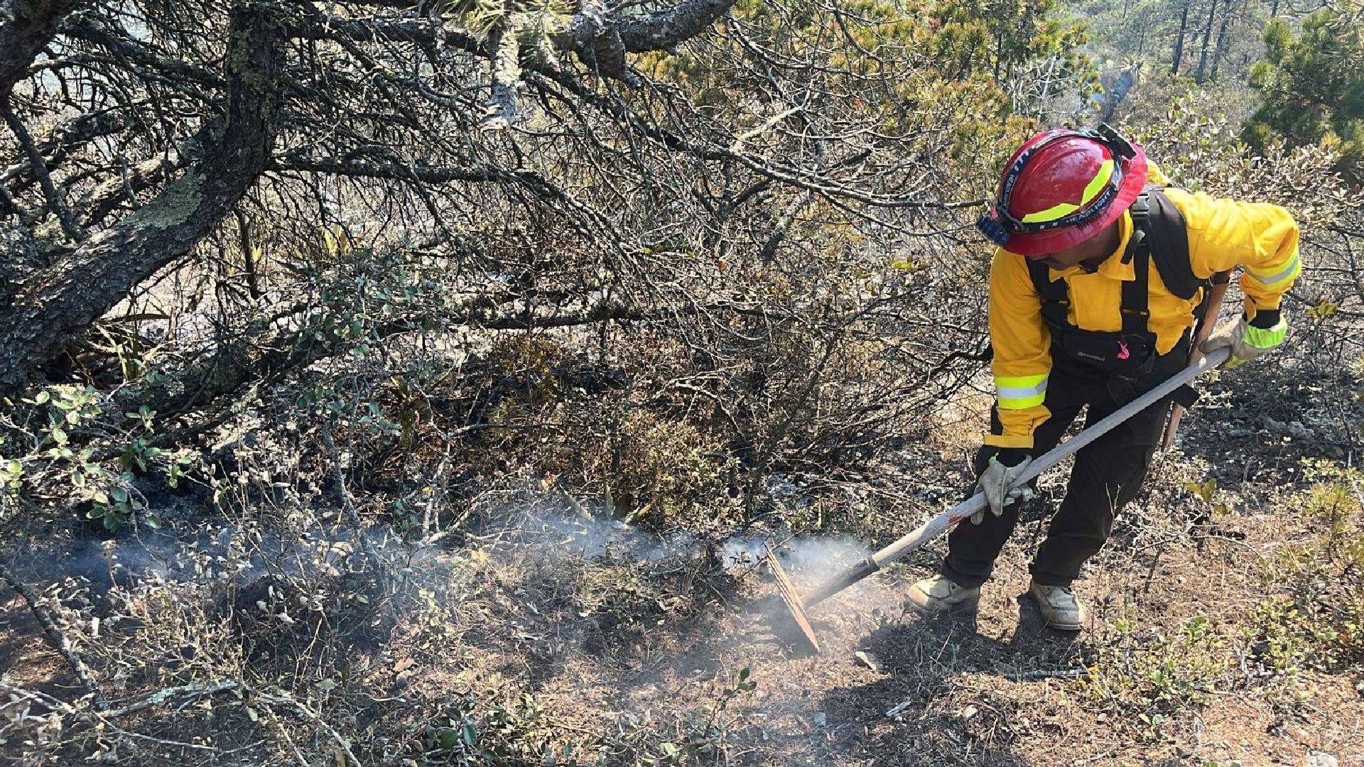 Refuerzan combate a incendio forestal en Miquihuana