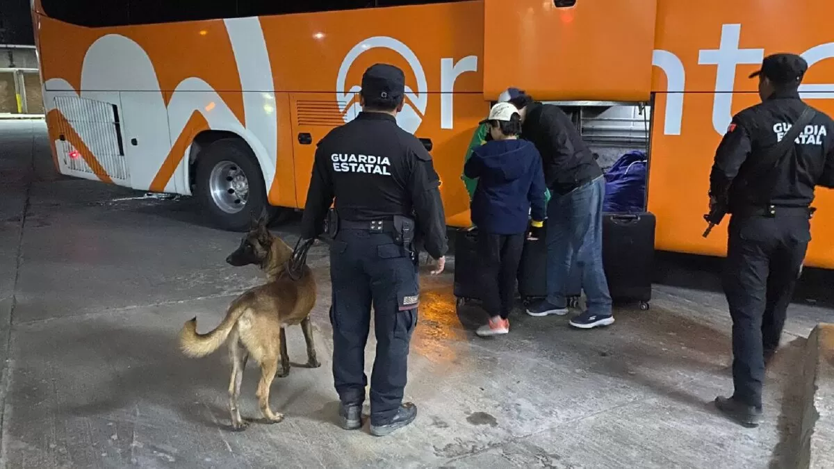 Refuerzan vigilancia con binomios caninos en Central de Autobuses de Victoria