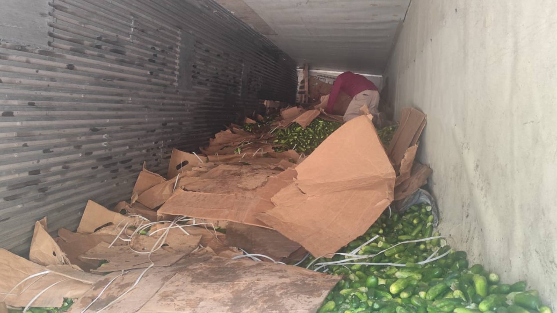 Tráiler cargado con pepino vuelca en carretera de Ciudad Victoria