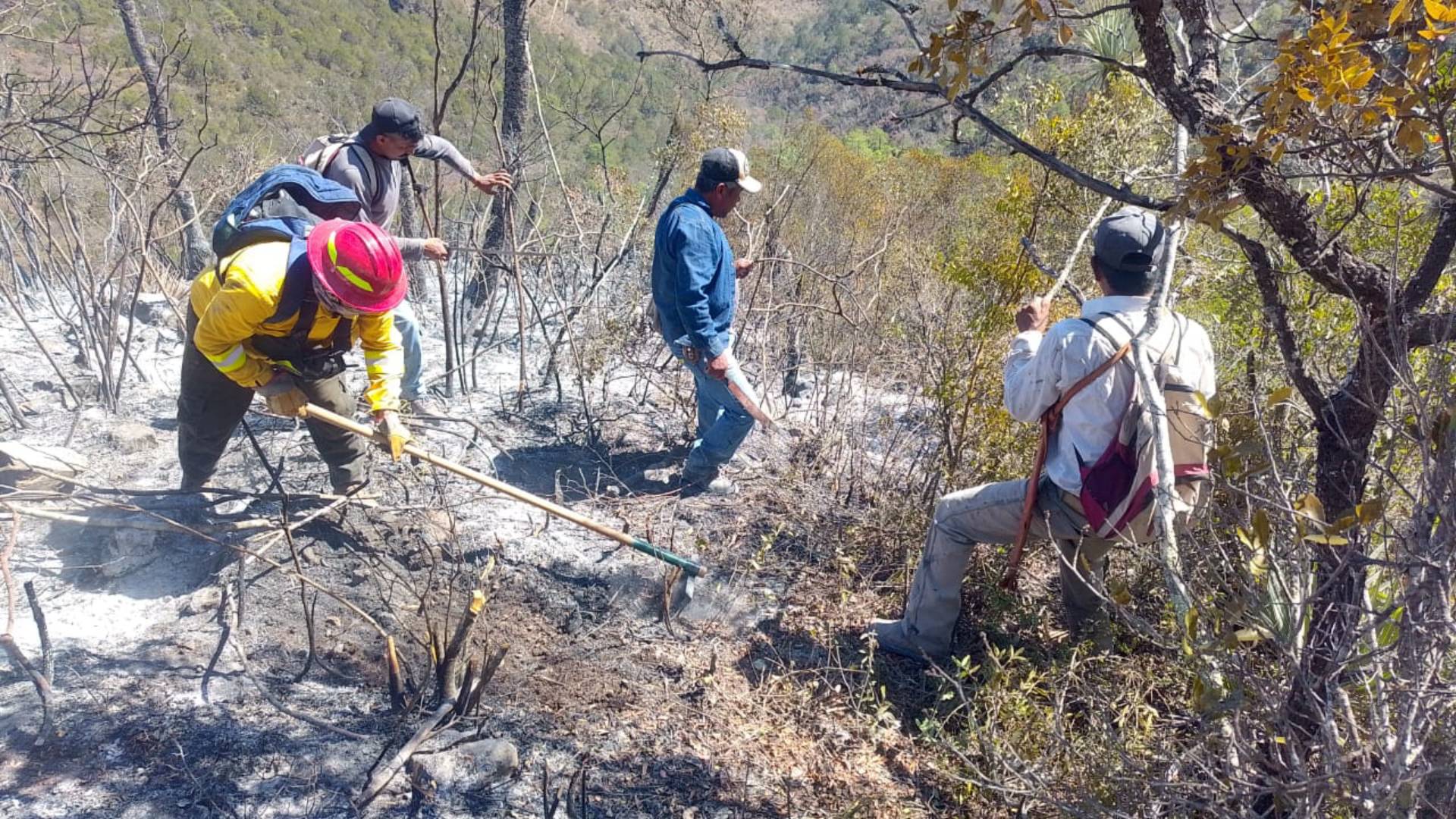 Gobierno de Tamaulipas reporta 90% de control de incendio en Jaumave
