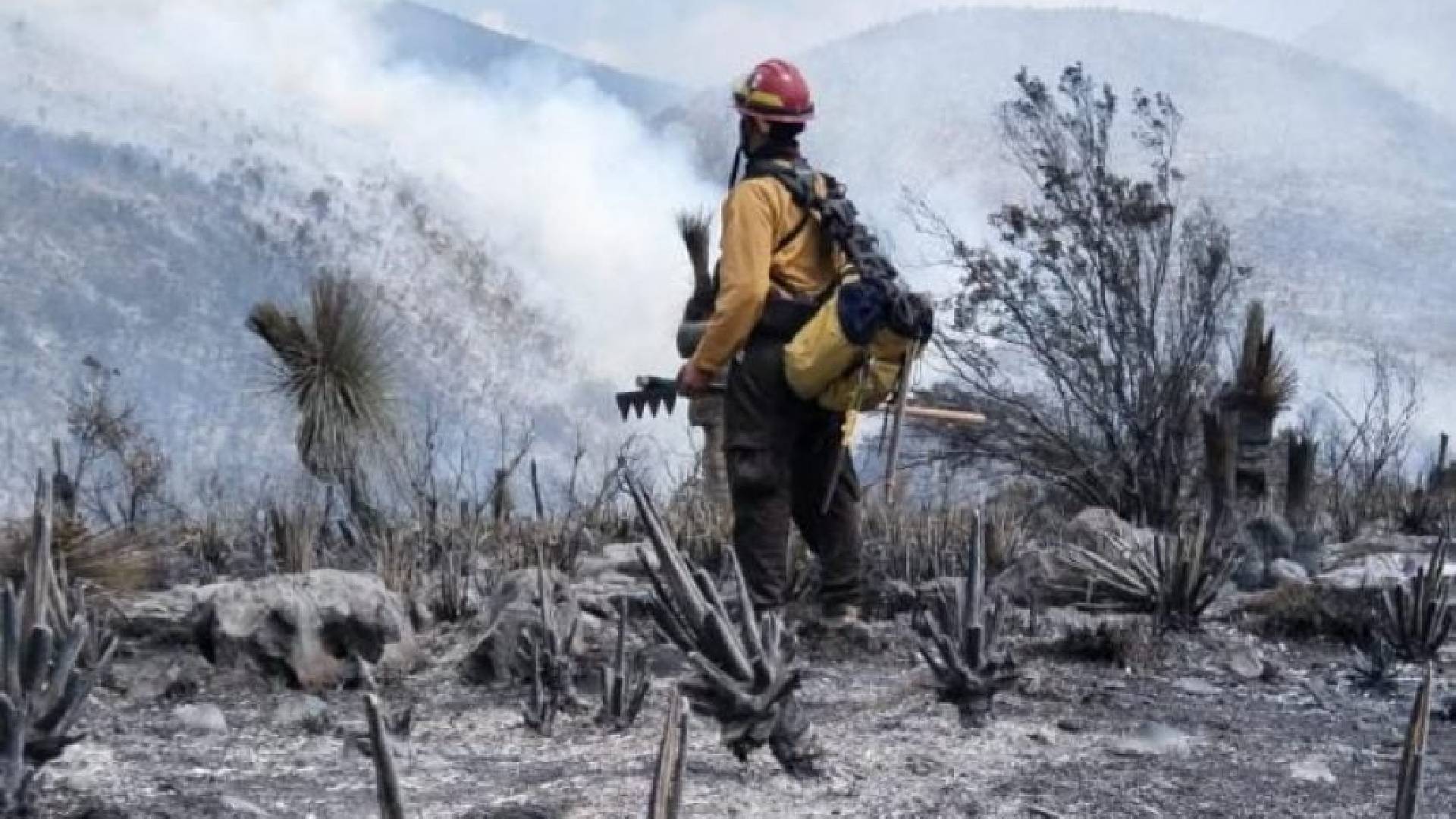 Gobierno de Tamaulipas liquida al 100% incendio forestal en Bustamante