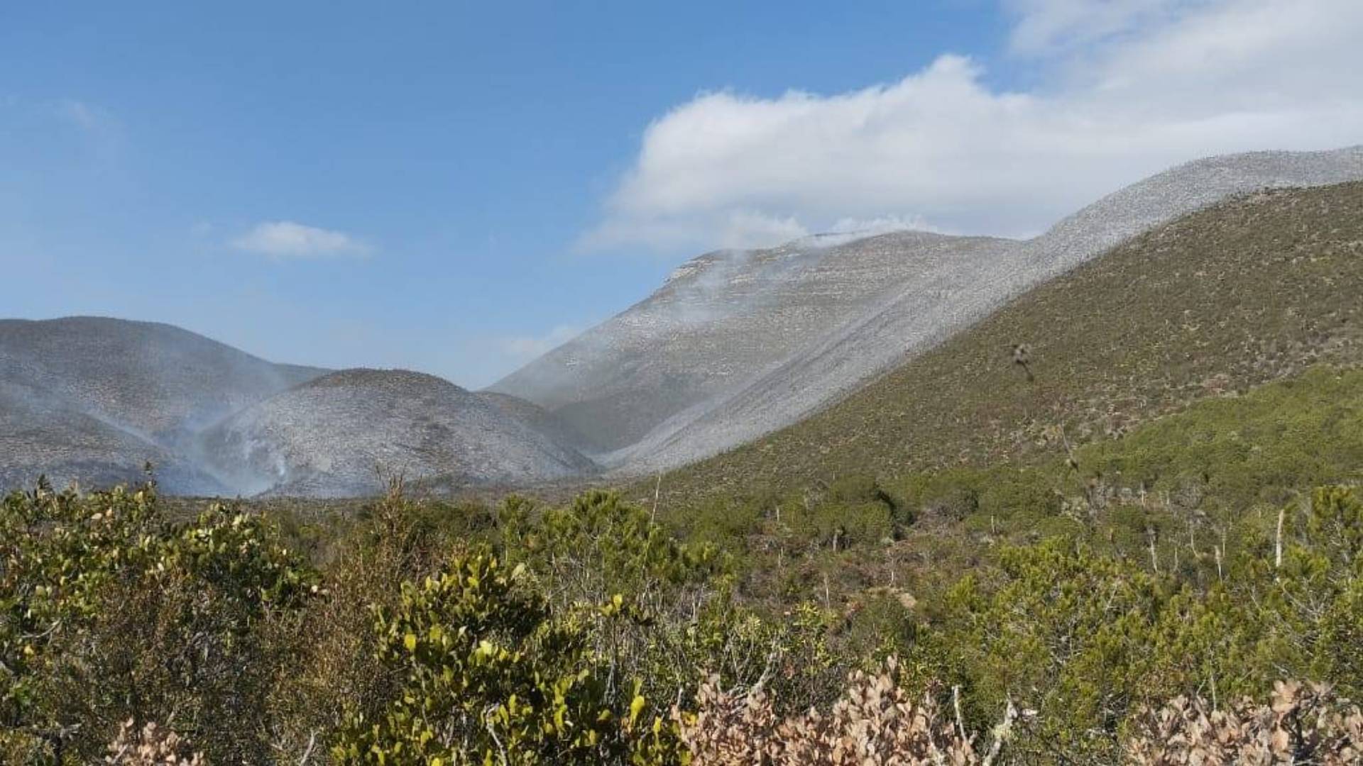 Logran 70% de control en incendio forestal en Bustamante