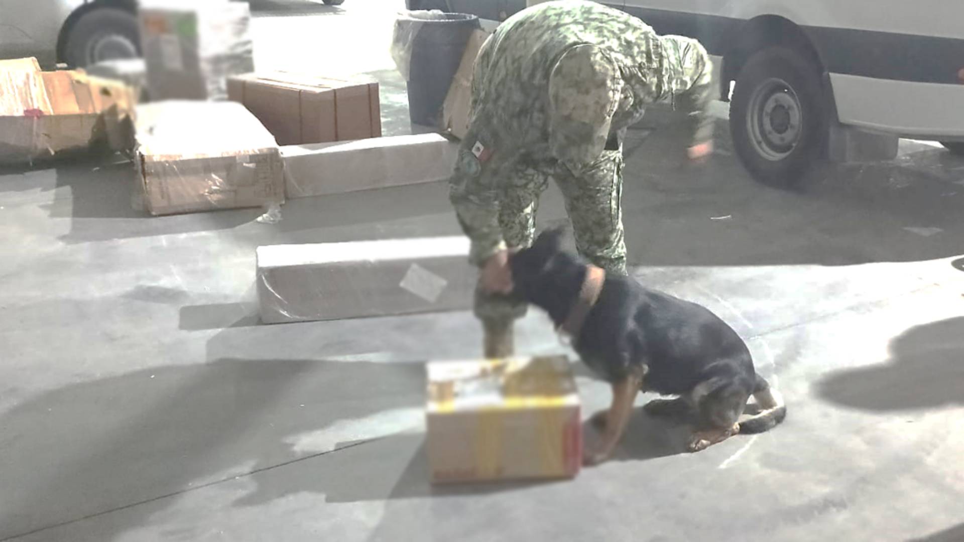 Aseguran metanfetamina en Reynosa durante operativos federales
