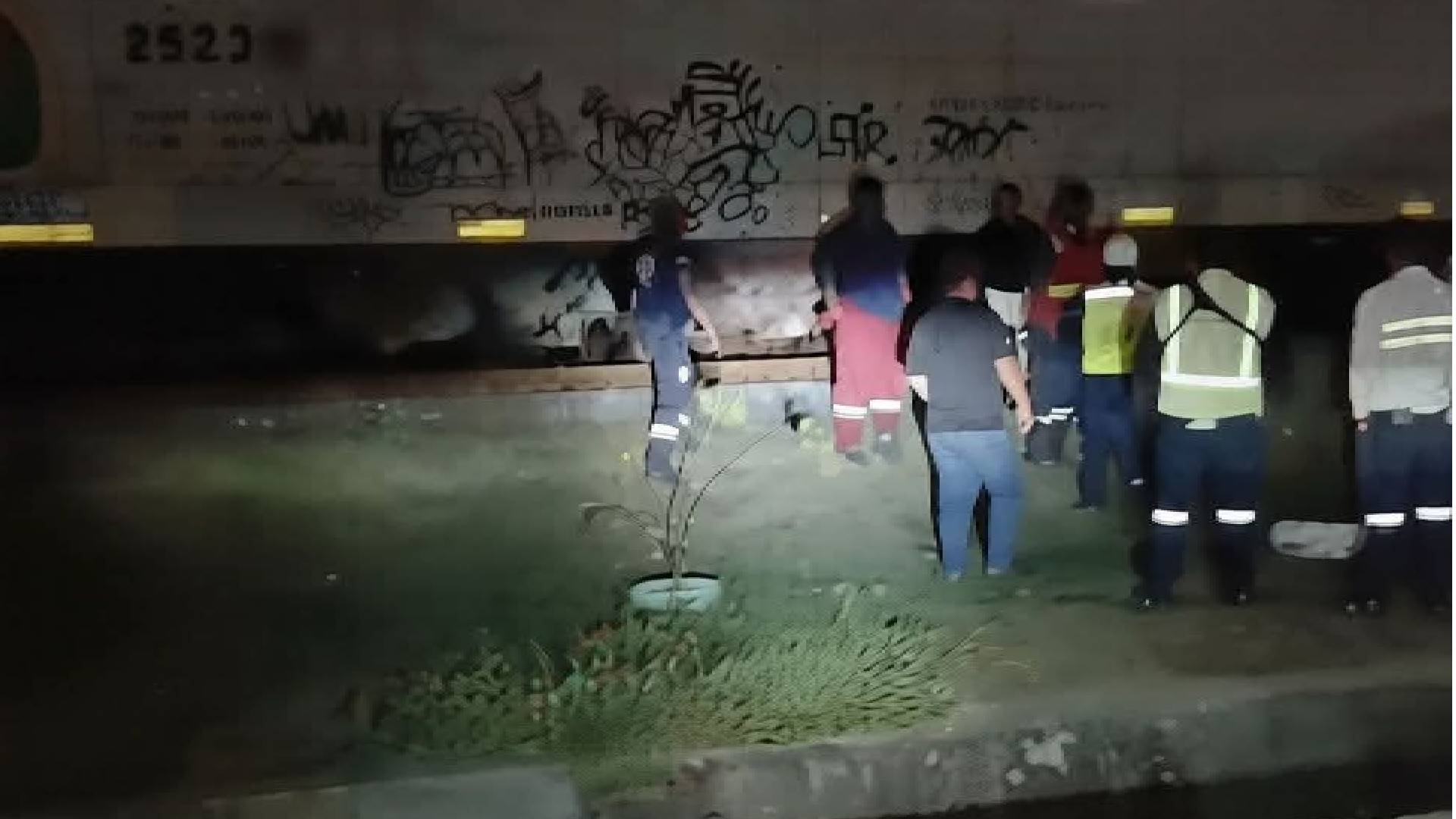 Peatón muere arrollado por tren en Tampico