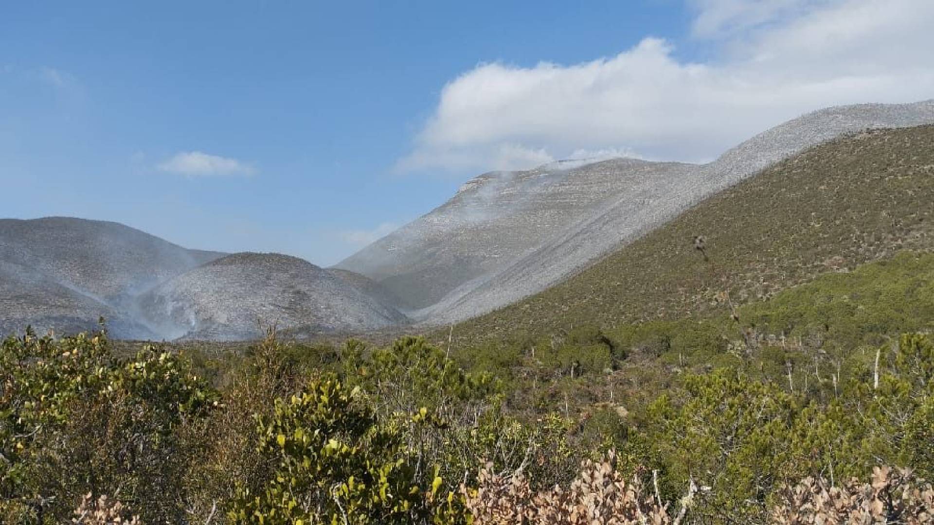 Combaten incendio forestal en ejido Joya de Herrera, Bustamante