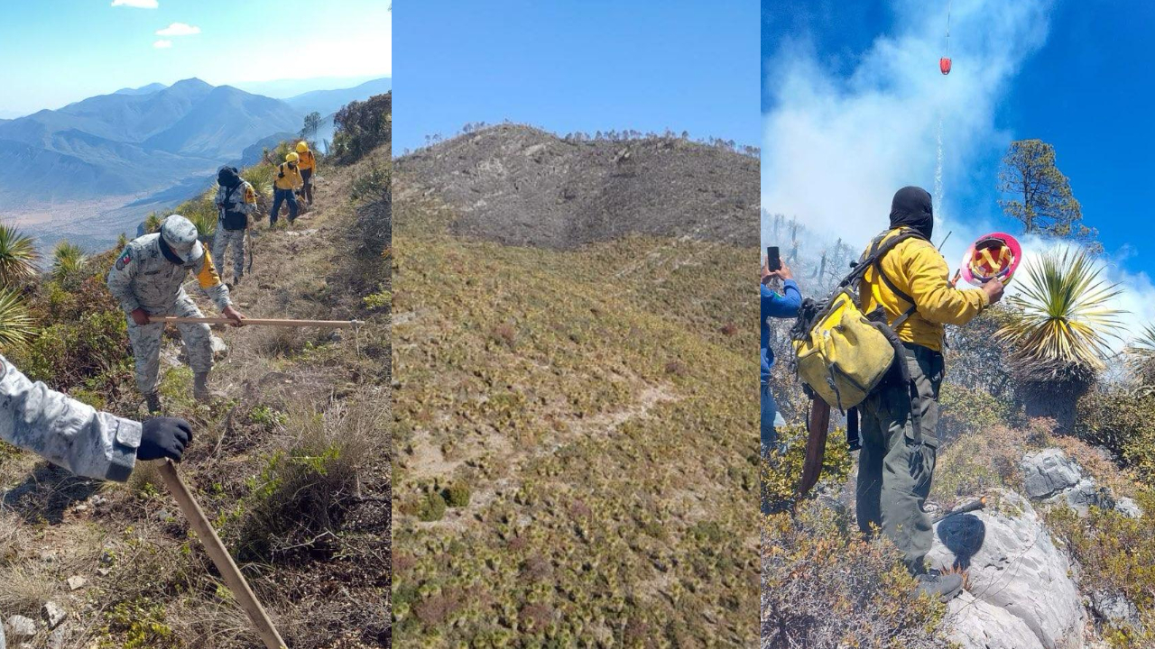 Controlan al 100 % incendio forestal en Miquihuana