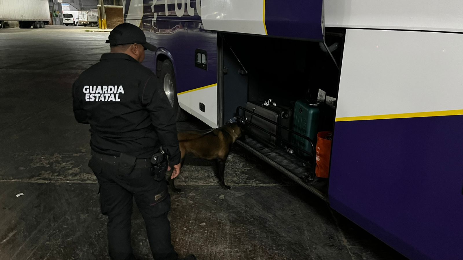 Refuerzan vigilancia con binomio K-9 en Central de Autobuses