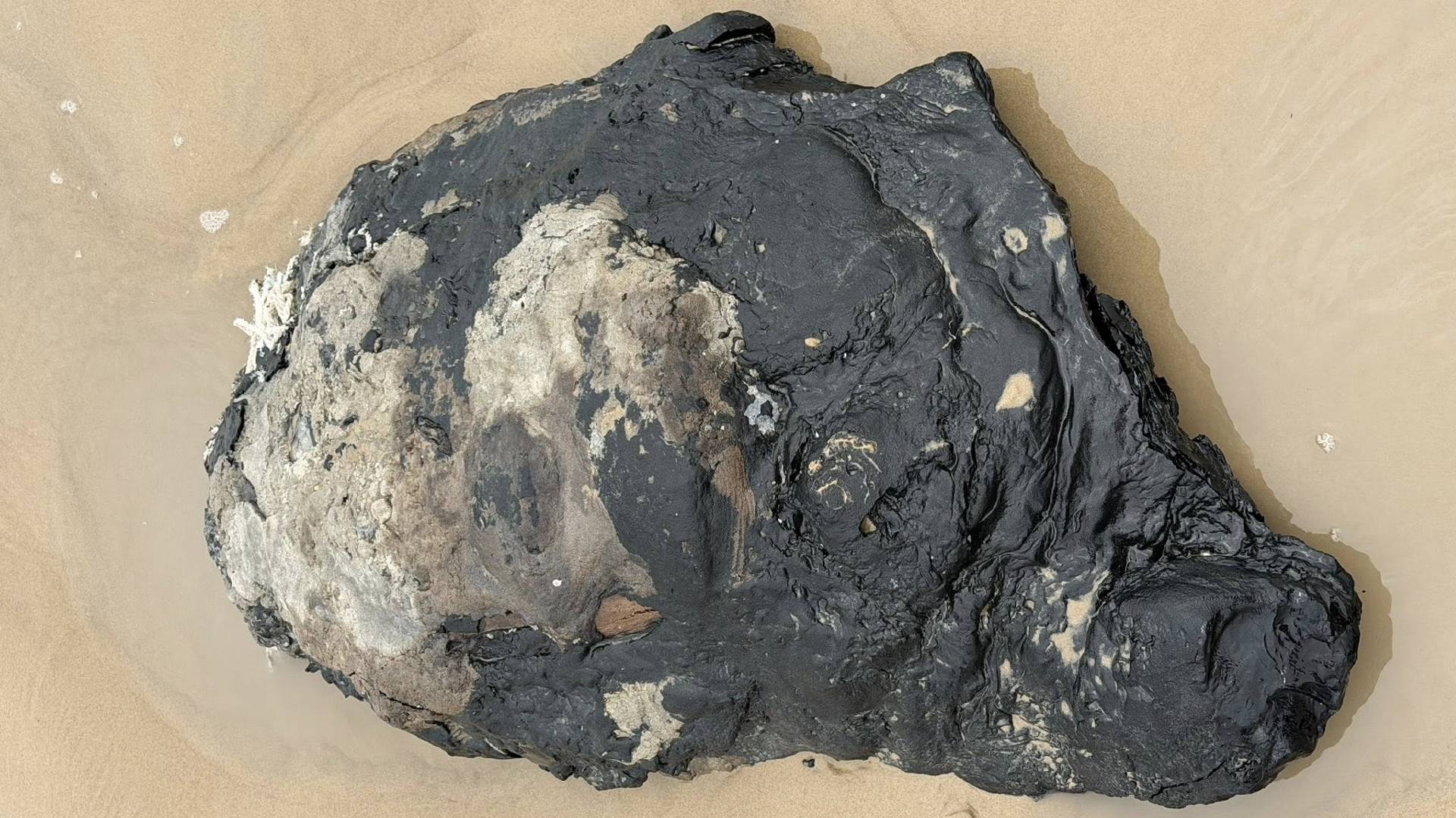 Localizan fragmento de hidrocarburo en Playa Bagdad