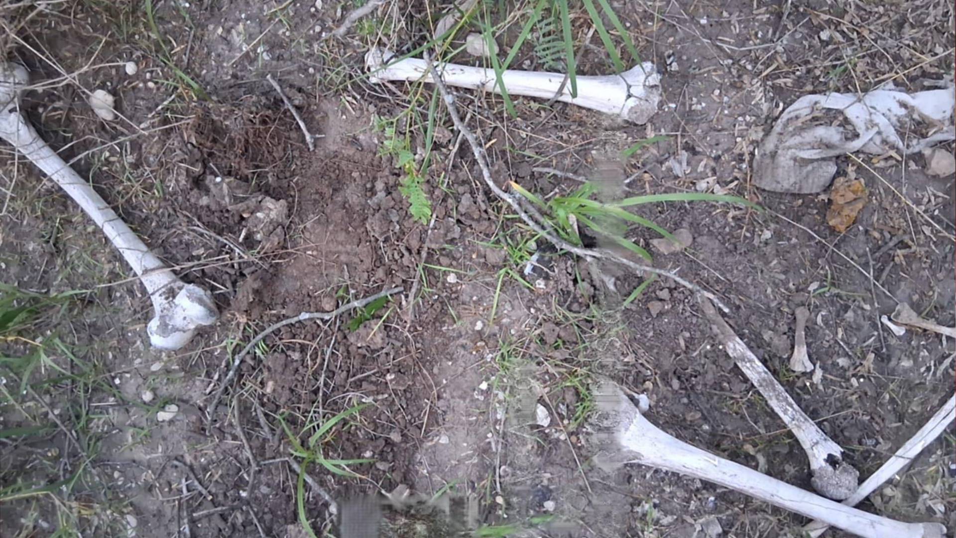 Localizan restos humanos en Reynosa durante jornada de búsqueda
