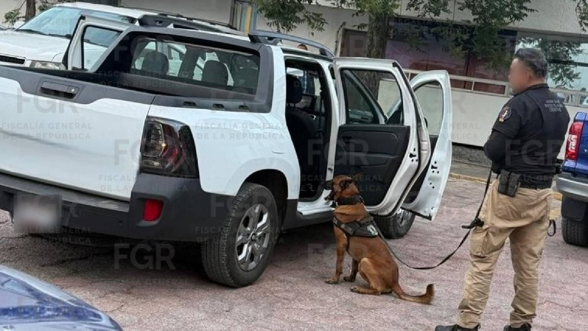 Decomisan más de 100 kilos de cocaína en Jaumave