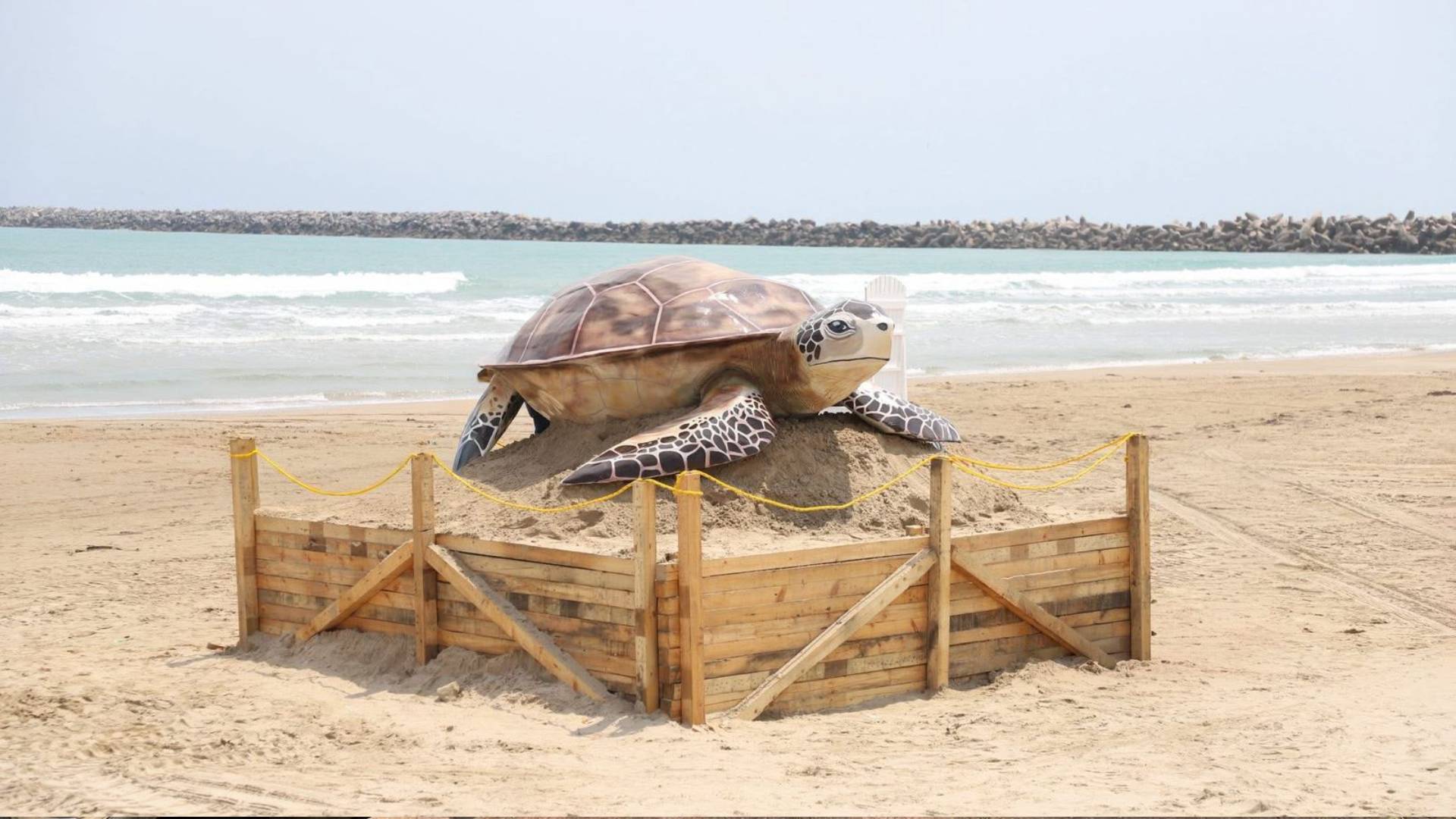 Altamira refuerza turismo con figura de tortuga lora en Playa Tesoro