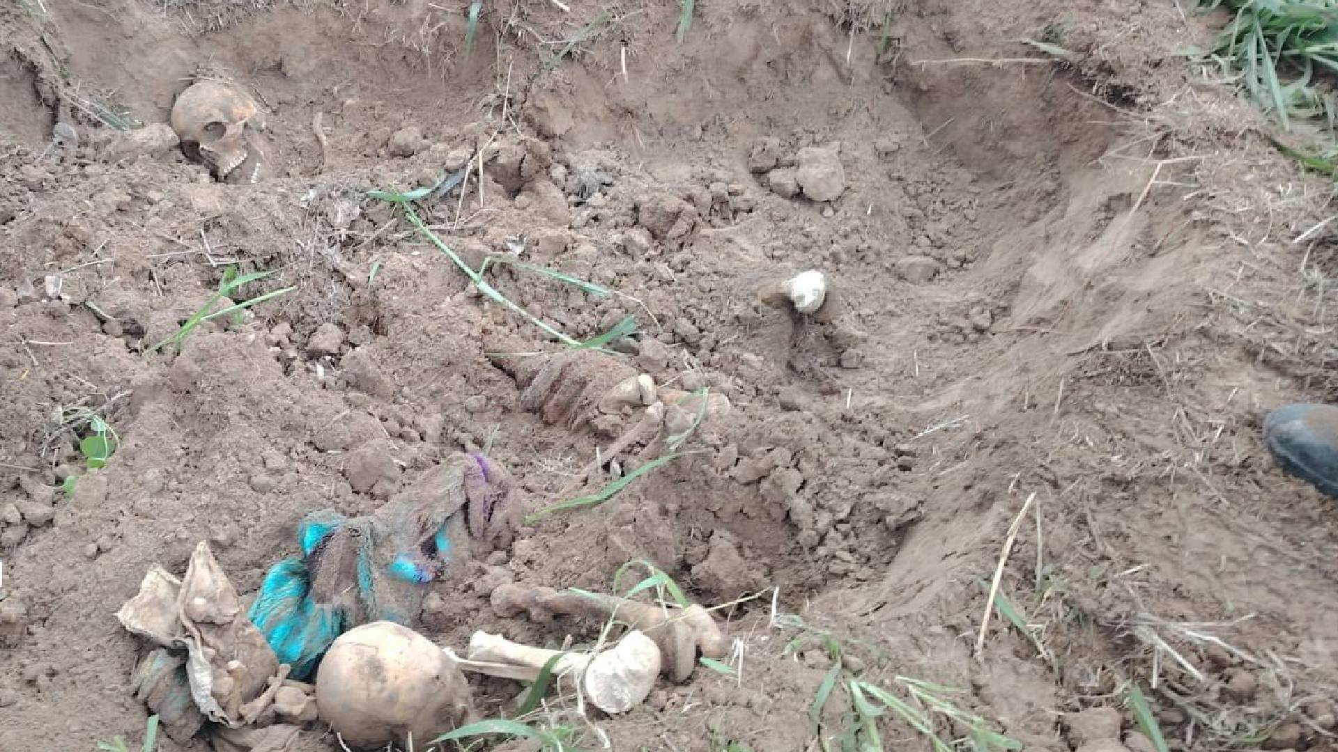 Localizan restos humanos en fosas clandestinas en Miguel Alemán