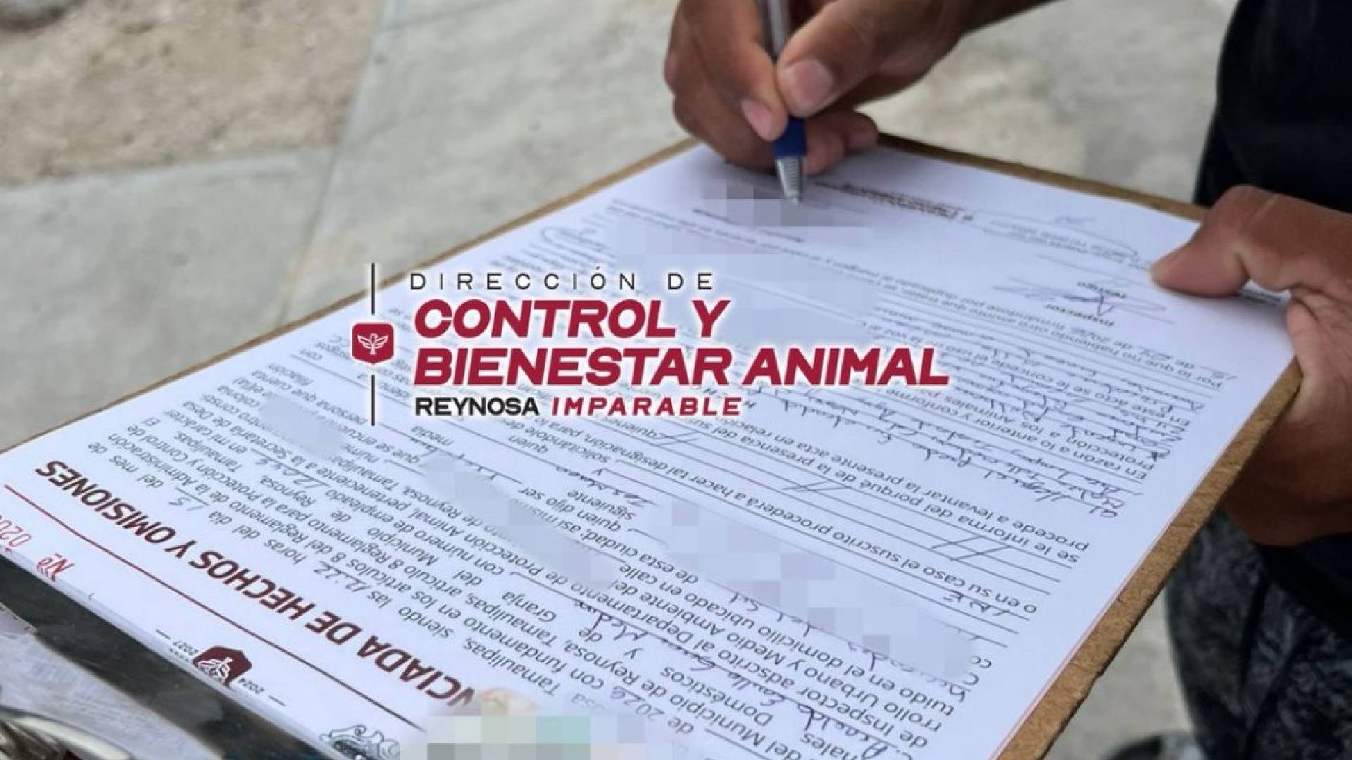 Refuerzan en Reynosa acciones por bienestar animal y tenencia responsable