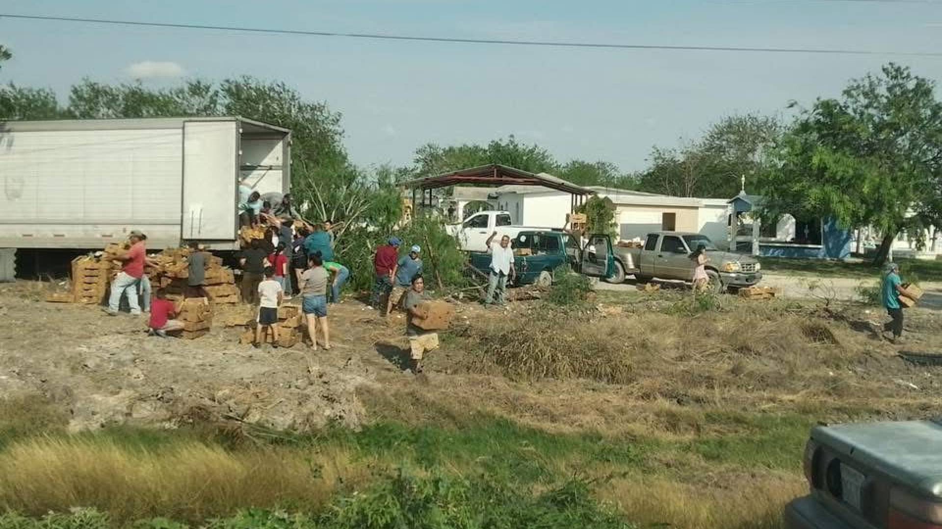 Rapiña de piñas tras volcadura en carretera Victoria – Matamoros
