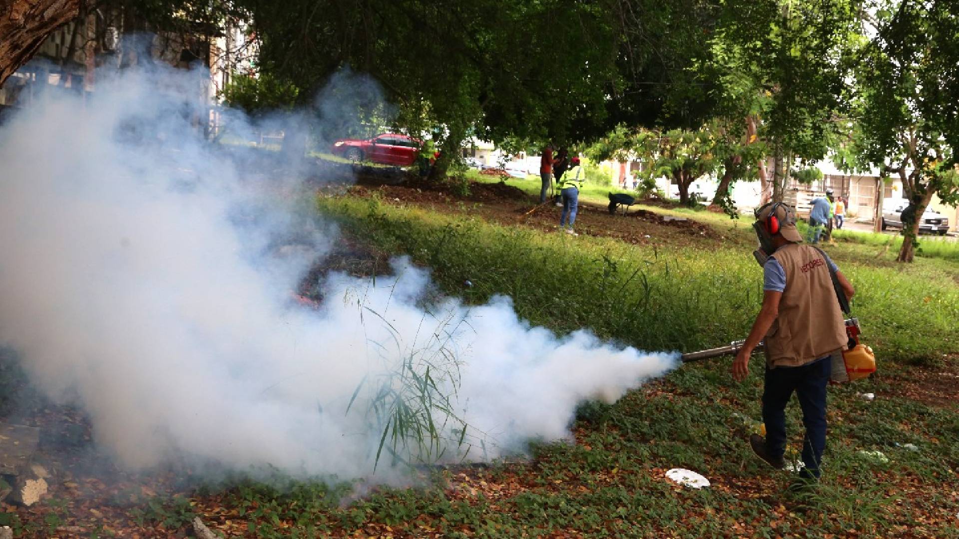 Foco rojo por dengue en 30 colonias de Tampico