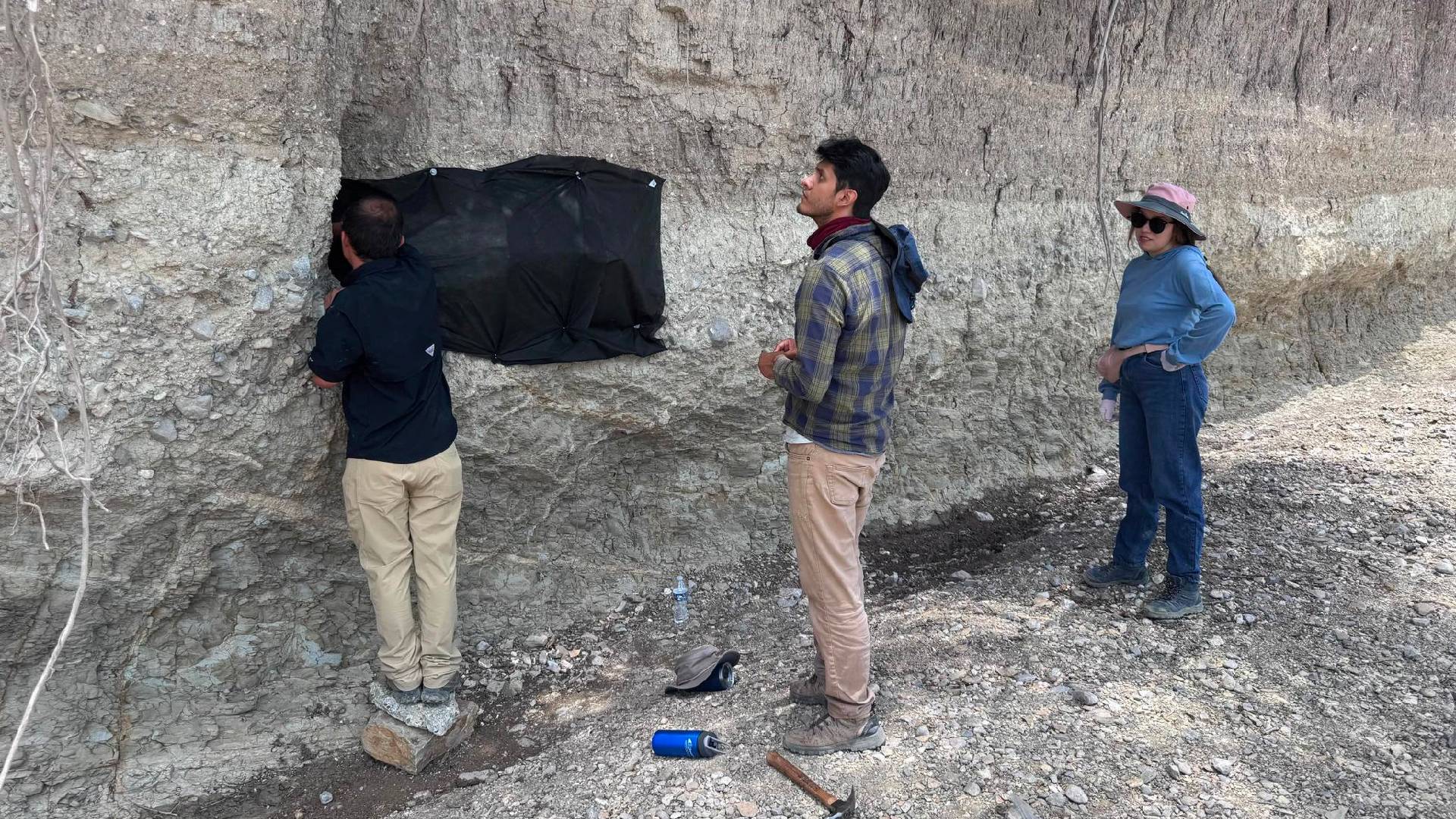 Encuentran restos de mamut cerca de Tamaulipas