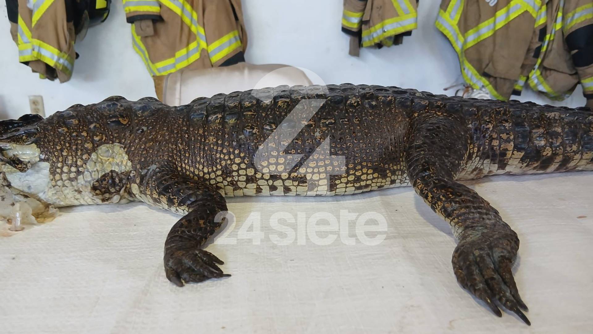 Encuentran a “Juancho” sin vida en laguna de Tampico