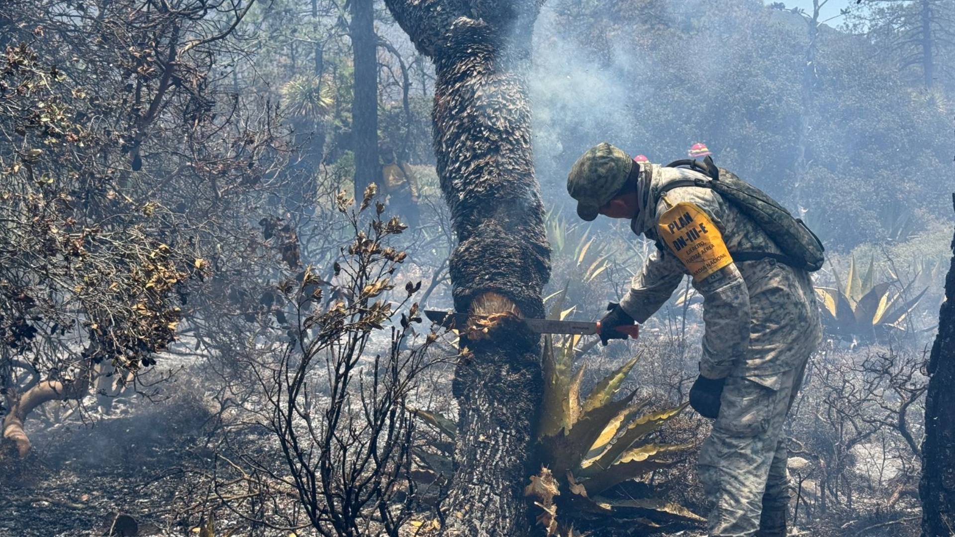 Ejército combate incendios forestales en Miquihuana
